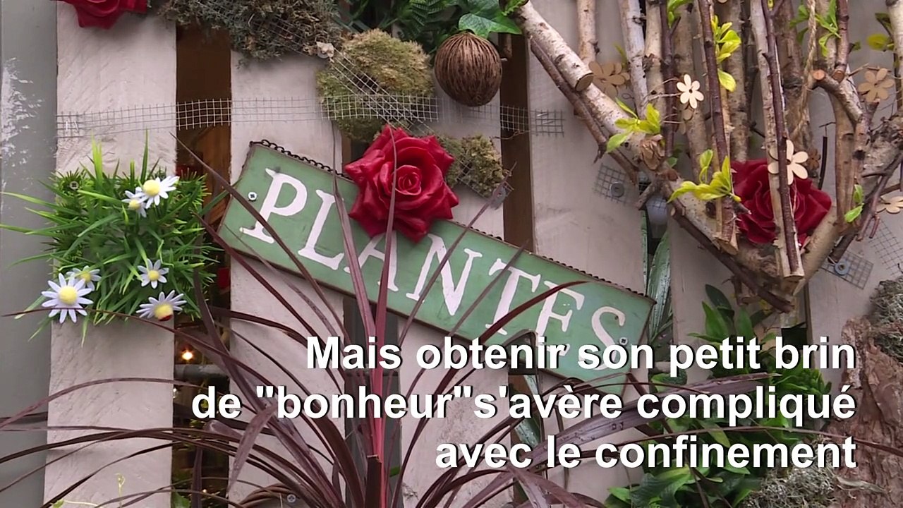 Pour "avoir du bonheur", le muguet très prisé en ce 1er mai confiné