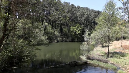 İmamoğlu İstanbullulara müjdeyi verdi: Şu günleri atlatalım, Atatürk Kent Ormanı'nı sizlerle buluşturacağız