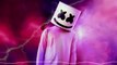 Melhores Musicas Eletronicas 2020  Alok, Marshmello, Alan Walker Música Eletrônica Festival 2020