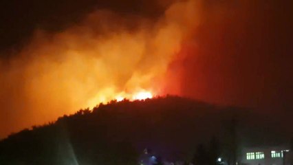 강원 고성 산불..."현장 똑바로 못 설 정도의 거센 바람" / YTN