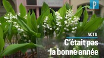 Muguets du 1er mai : « On n'a pas pu profiter » se désole un fleuriste