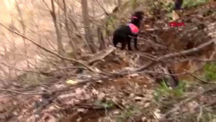 Bingöl İçişleri Bakanlığından terör örgütüne operasyon