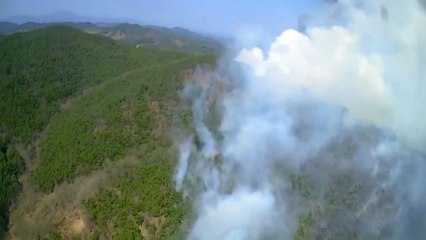 예년보다 2배 많았던 4월 산불...5월도 심상찮다 / YTN