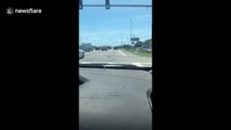 'How is he driving?' Florida motorist spots diagonal-facing vehicle driving down highway