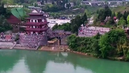 Hundreds of buffaloes swim across river to graze in south China