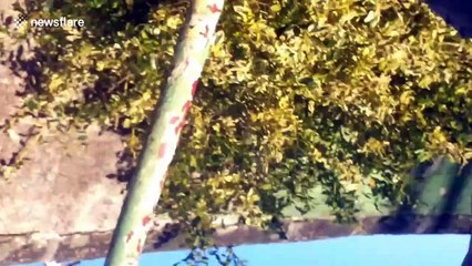 Scottish builder takes a tumble in hilarious demolition fail