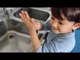 Toddler Shows How to Wash Hands and Keep Good Hygiene During COVID-19 Pandemic
