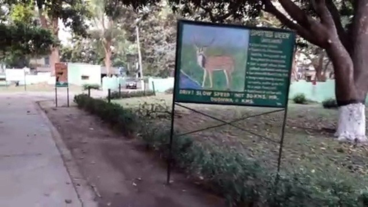 Dudhwa National Park...Journey Begins.........
