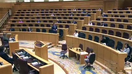 Pedro Sánchez responde a Maroto en el Senado