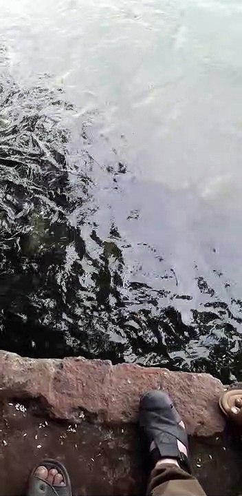 20191107_114847