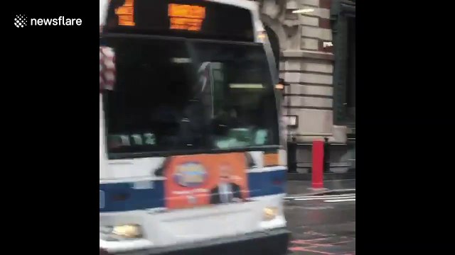 Man rides his horse through empty New York streets amid COVID-19 lockdown