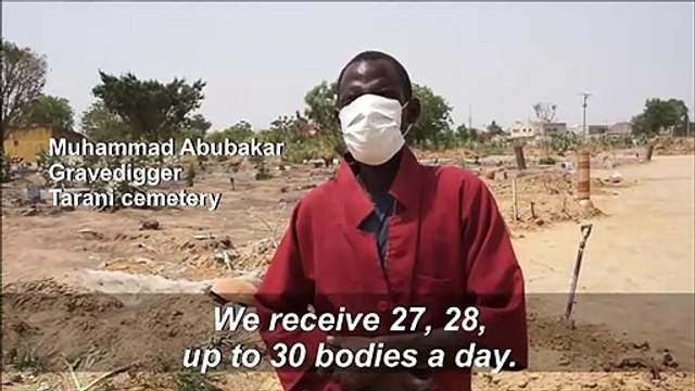 Virus caused 'mystery' mass deaths in north Nigeria: investigators
