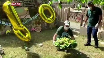 Türkiye'nin en yaşlı kaplumbağası 100 yaşında