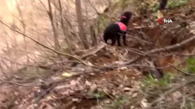 Bingöl Jandarma Komutanlığı'ndan Yayladere'de 'Kırköy operasyonu'