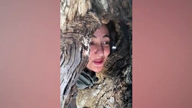 Oyuncu Meltem Cumbul'dan 'Orhan Veli'li 1 Mayıs mesajı: 'Kelle fiyatına hürriyet, esirlik bedava'