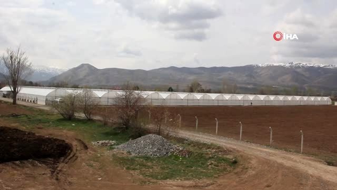 Seracılık Erzincan'da büyüyor
