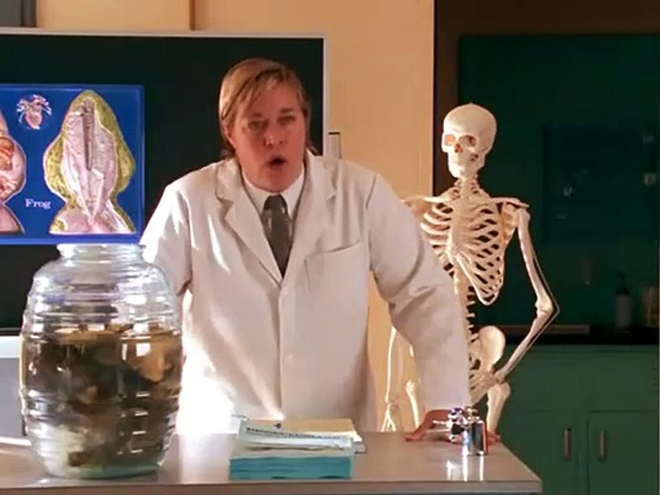 Popular S01e02