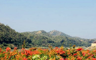 सरदार की याद में दौड़ा हिंदुस्तान, स्टैच्यू ऑफ यूनिटी की खास बातें