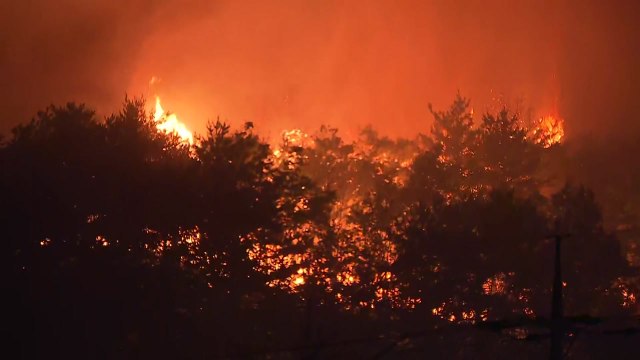 강원 고성 산불 대응 3단계 발령...전국 차원에서 대응 / YTN