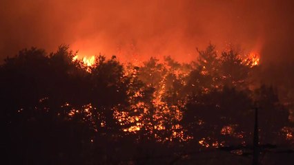 고성 화재 목격 시민 "큰 불 보고 급히 대피, 강한 바람 불어" / YTN