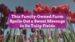 This Family-Owned Farm Spells Out a Sweet Message in Its Tulip Fields