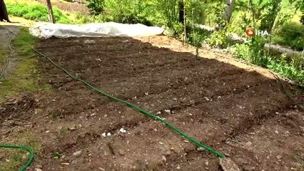 Cumhurbaşkanının "Ekilmedik bir karış yer kalmasın" çağrısına Saimbeyli'den tam destek