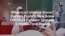 What Is a Cytokine Storm? Doctors Explain How Some COVID-19 Patients' Immune Systems Turn