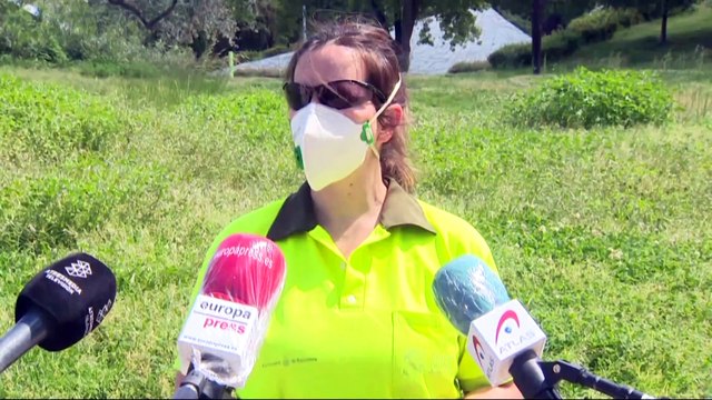 Barcelona abre sus parques mientras Madrid los mantiene cerrados