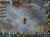 Chaman pvp [Wollff]amélio