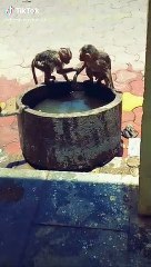 Best comedy video। हस हस कर पेट दुखने लगा देंगे