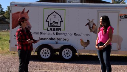 Large Animal Shelter & Emergency Readiness (LASER)
