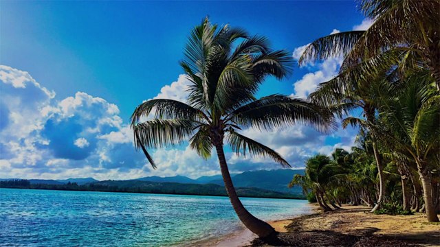 Puerto Rico Is Putting on Live Tours so You Can Take an At-home Vacation