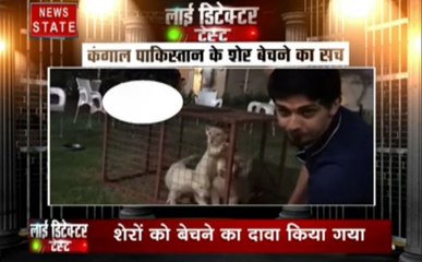 लाई डिटेक्टर टेस्ट: पाकिस्तान में शेरों के बेचने का वीडियो वायरल सही पाया गया