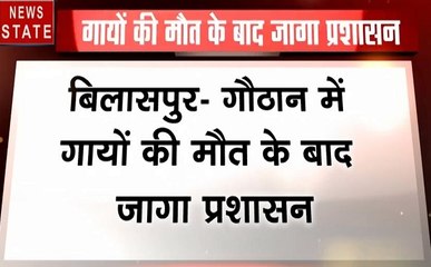 Madhya pradesh: बिलासपुर- गौठान में गायों की मौत के बाद जागा प्रशासन
