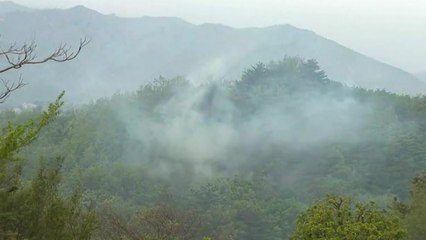 고성 산불 진화 중..."오전 중 진화 목표" / YTN