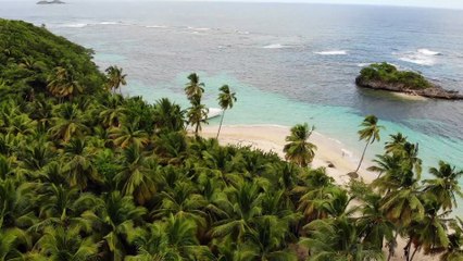 Drone view - Island beach