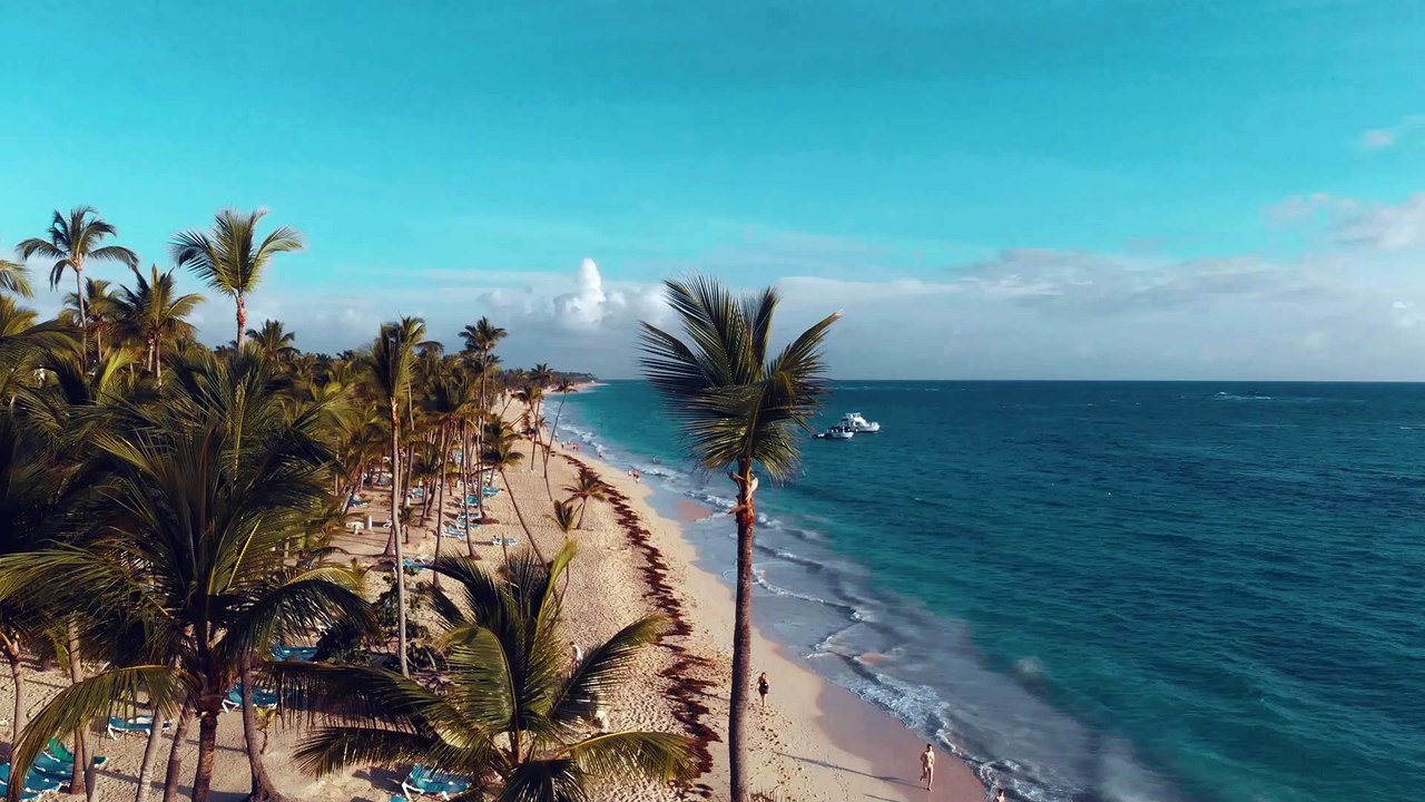 Drone view - Island beach