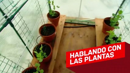 ¿Qué Pasa Si Pones una Serpiente en un Círculo de Sal?