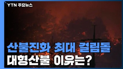 강원도 동해안 산불, 발생하면 대형산불로 번지는 이유 / YTN