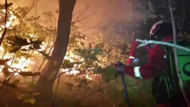 반복되는 산불...현재 상황은? / YTN