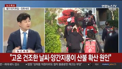[뉴스특보] 고성 산불 반나절만에 신속 진화…잔불 정리 주력