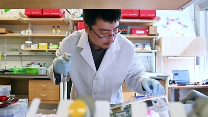 EEUU aprueba antiviral remdesivir para tratamiento de la COVID-19