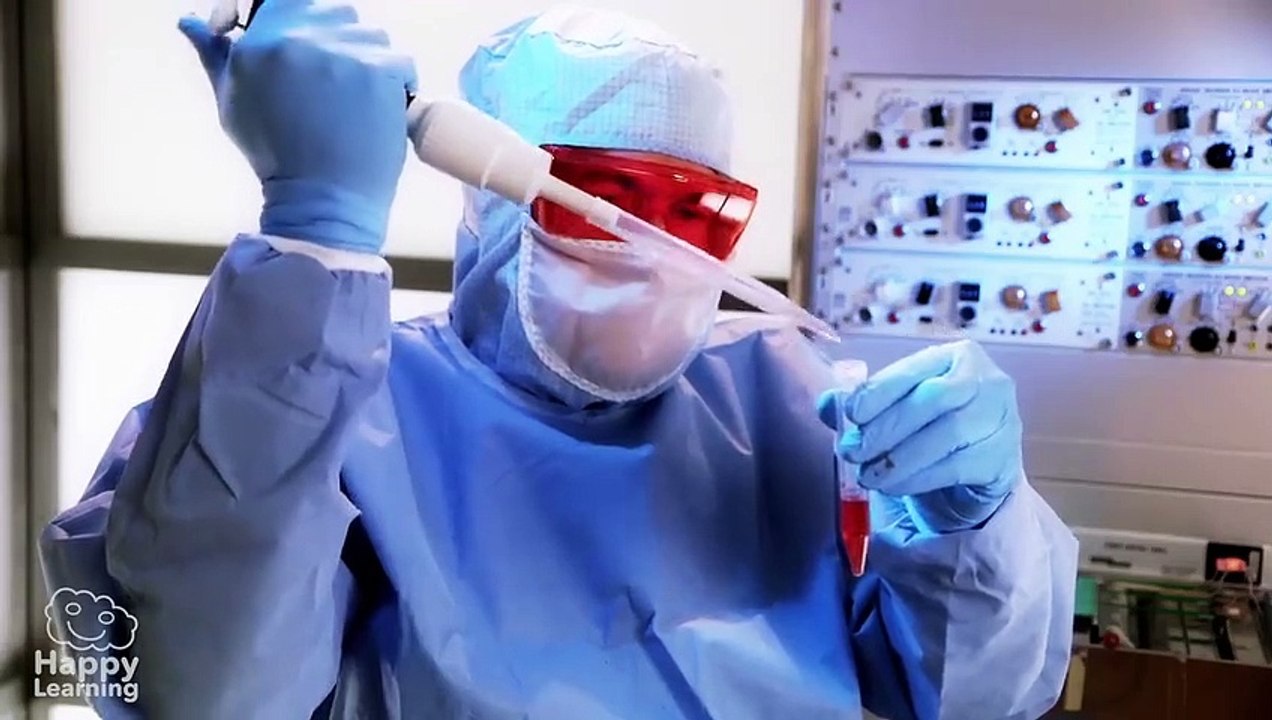 ¿QUÉ ES EL CORONAVIRUS?
