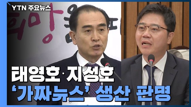 태영호·지성호 '가짜뉴스' 생산 판명... 무책임·선동 비판 / YTN