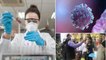 Coronavirus Update : Coronavirus Could Last Beyond 2022 Says Reports