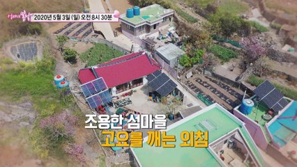 섬마을 부부의 동상이몽_엄마의 봄날 242회 예고