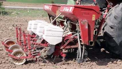 Çiftçiler korona virüse rağmen üretimi sürdürüyor