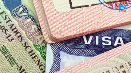 Download Video: US announces relaxations for H-1B visa holders and Green Card applicants