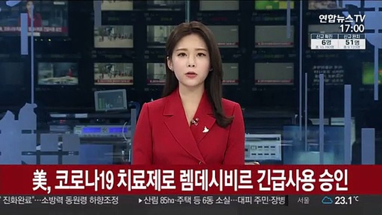 美, 코로나19 치료제로 렘데시비르 긴급사용 승인