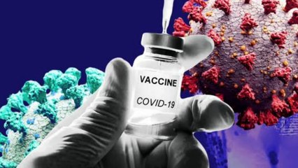 Indian Companies those who are working on Coronavirus vaccine